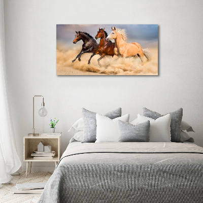 Bild auf leinwand Pferde im Galopp