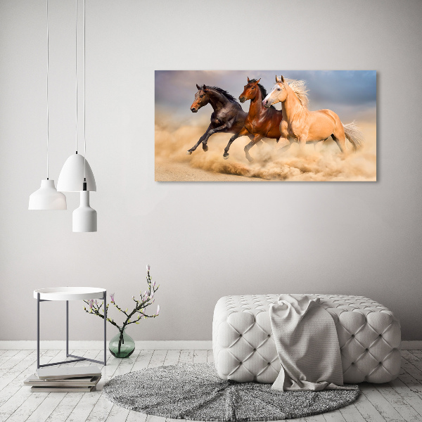 Bild auf leinwand Pferde im Galopp