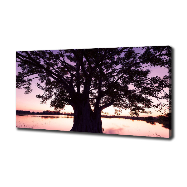Wandbild Baum und See