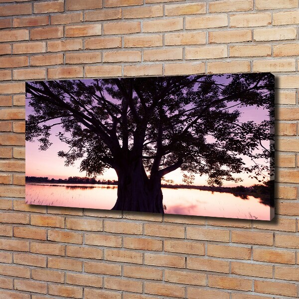 Wandbild Baum und See