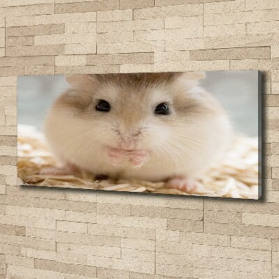 Fotobild Hamster