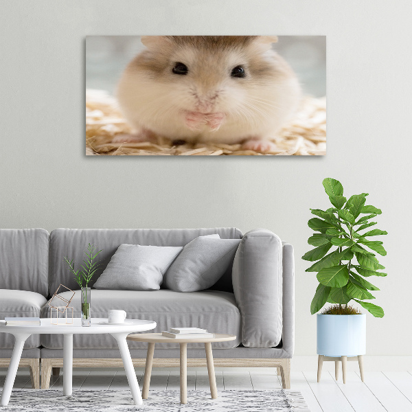 Fotobild Hamster