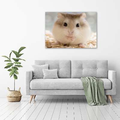 Fotobild Hamster