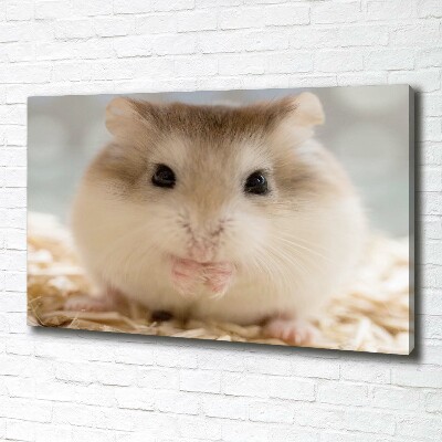 Fotobild Hamster