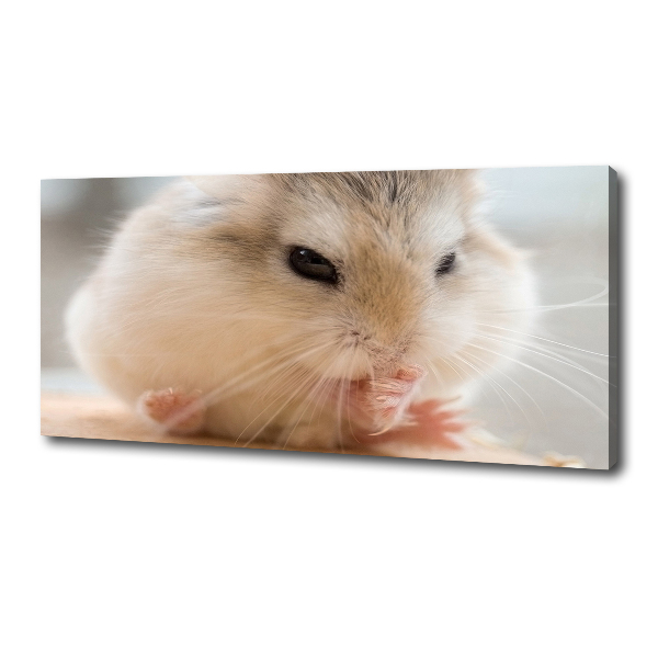 Bild auf leinwand Hamster