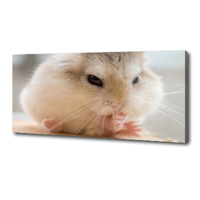 Bild auf leinwand Hamster