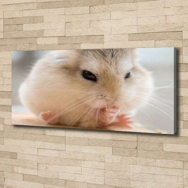Bild auf leinwand Hamster