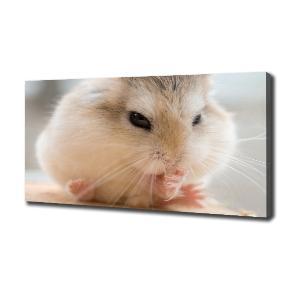 Bild auf leinwand Hamster