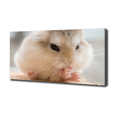Bild auf leinwand Hamster