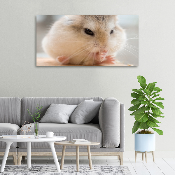 Bild auf leinwand Hamster