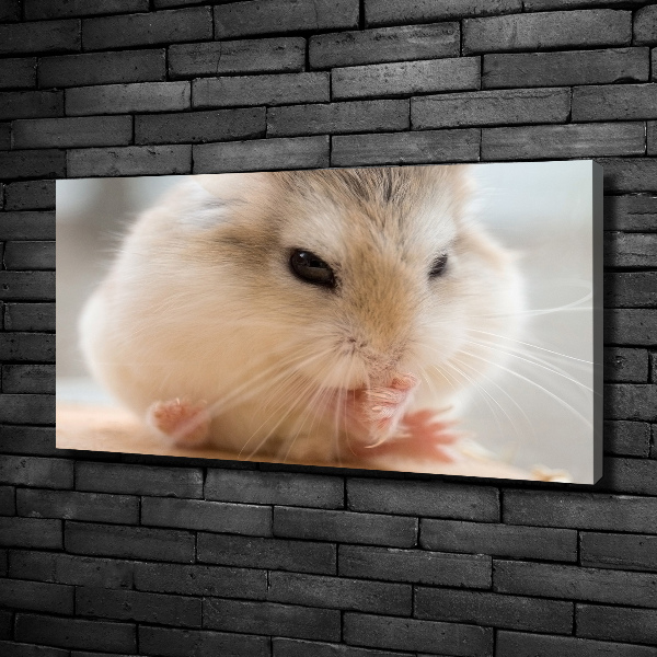 Bild auf leinwand Hamster