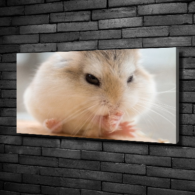 Bild auf leinwand Hamster