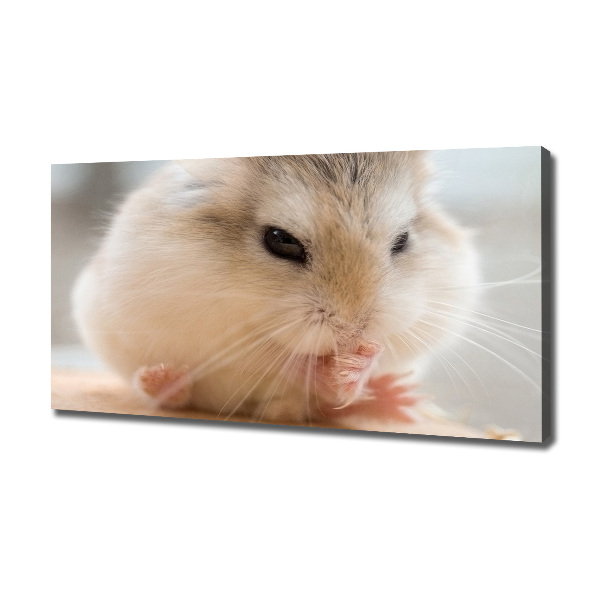 Bild auf leinwand Hamster