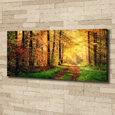 Wandbild Wald im Herbst