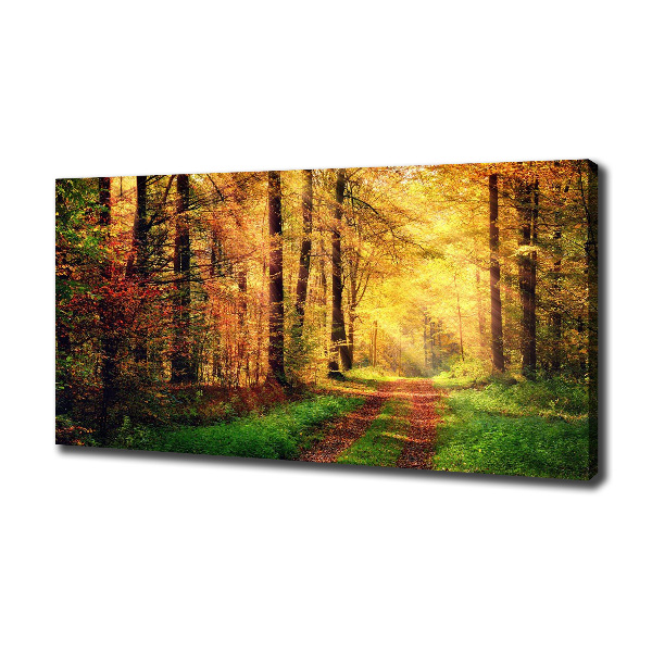 Wandbild Wald im Herbst