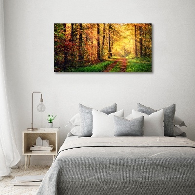 Wandbild Wald im Herbst