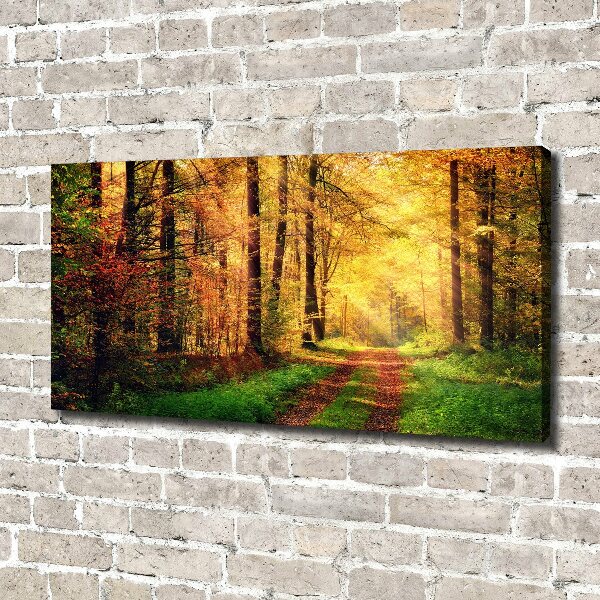 Wandbild Wald im Herbst