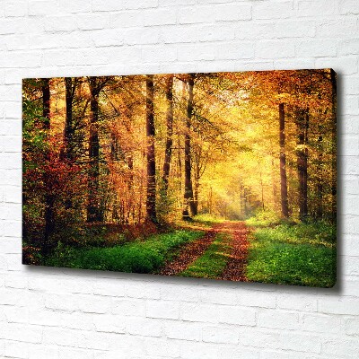 Wandbild Wald im Herbst