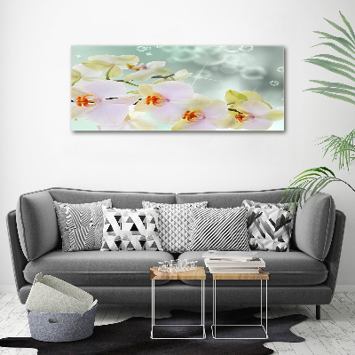 Wandbild Weiße Orchidee