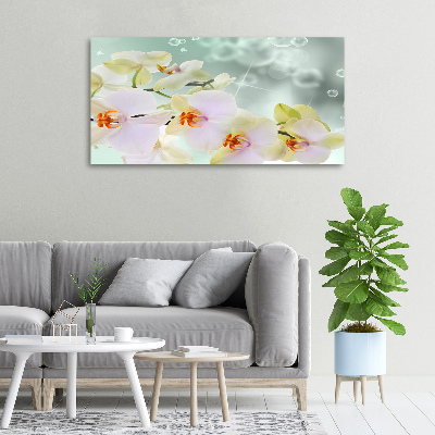Wandbild Weiße Orchidee