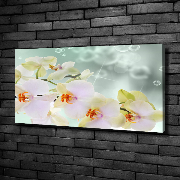 Wandbild Weiße Orchidee