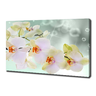 Wandbild Weiße Orchidee