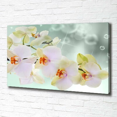 Wandbild Weiße Orchidee