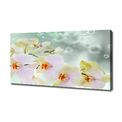 Wandbild Weiße Orchidee