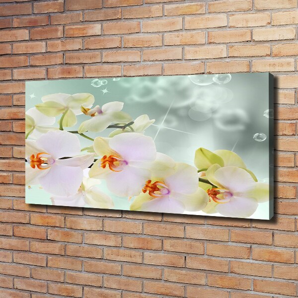Wandbild Weiße Orchidee