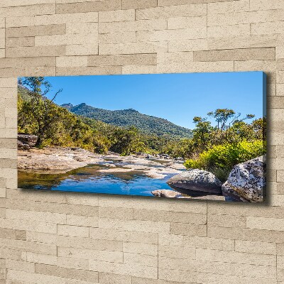 Bild auf leinwand Fluss im Wald