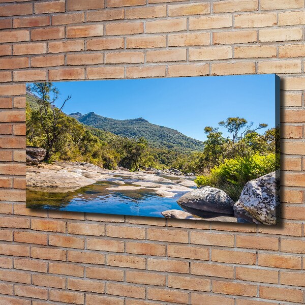 Bild auf leinwand Fluss im Wald