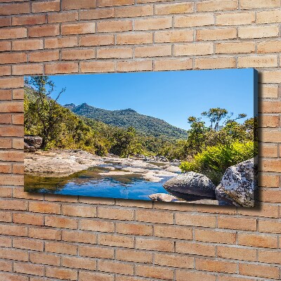 Bild auf leinwand Fluss im Wald
