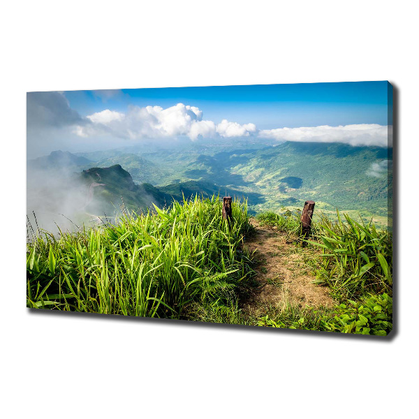 Fotobild Pfad zum Gipfel