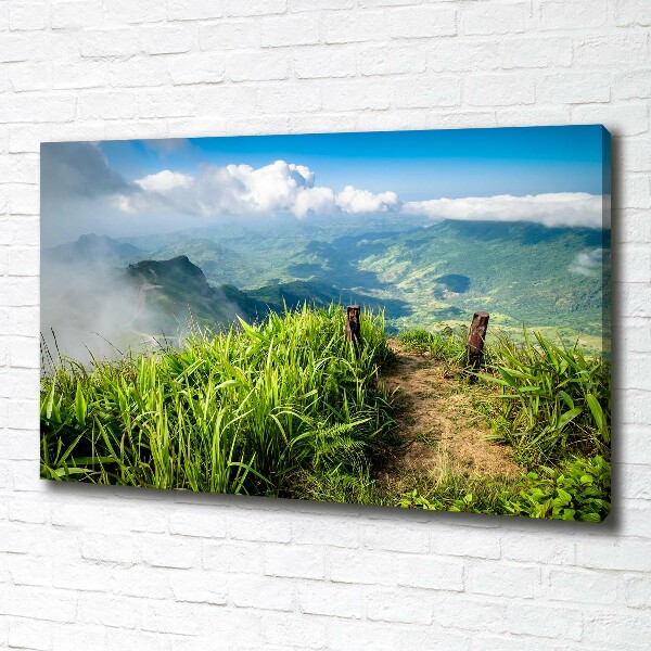 Fotobild Pfad zum Gipfel