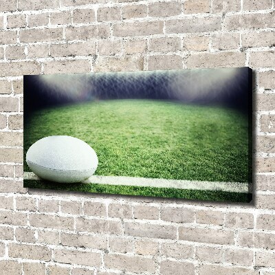 Fotobild Rugbyball