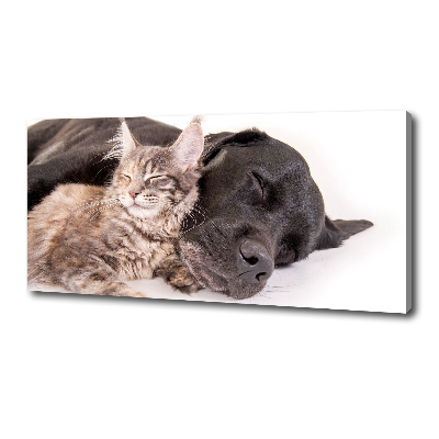 Wandbild Hund mit Katze
