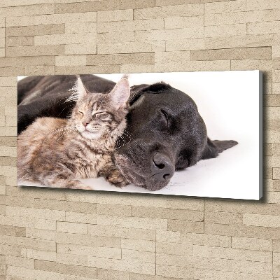 Wandbild Hund mit Katze