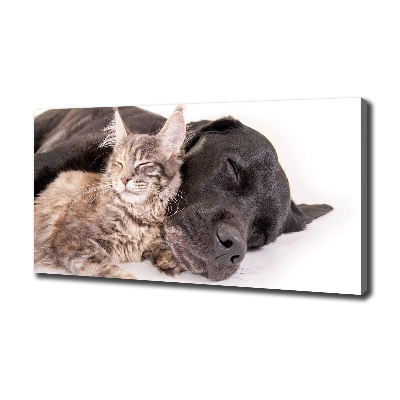 Wandbild Hund mit Katze
