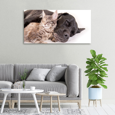 Wandbild Hund mit Katze
