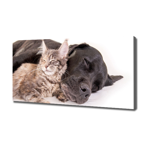 Wandbild Hund mit Katze