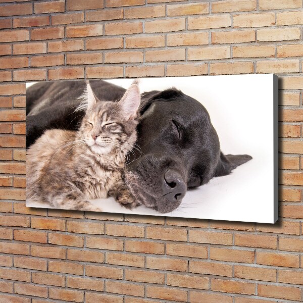 Wandbild Hund mit Katze