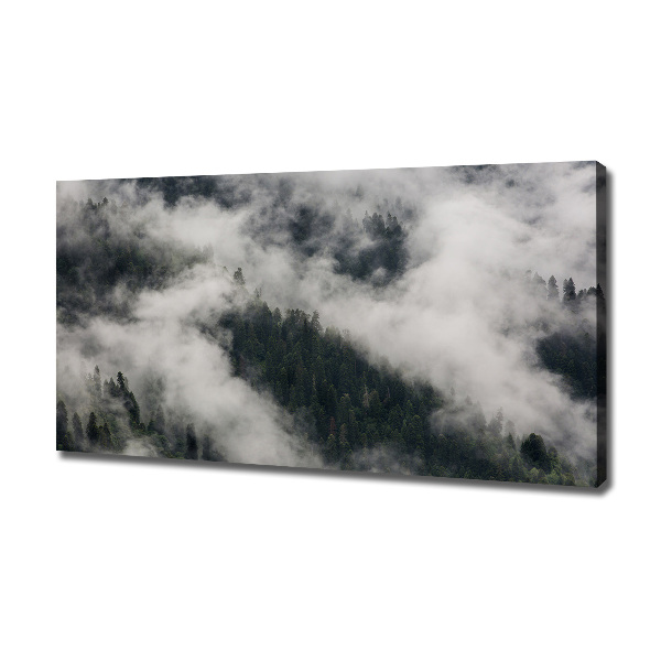 Wandbild Nebel über dem Wald