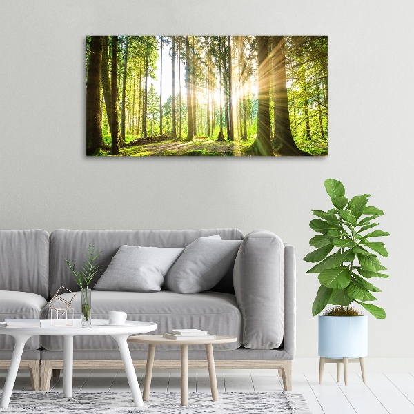 Bild auf leinwand Wald in der Sonne