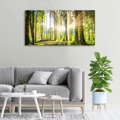 Bild auf leinwand Wald in der Sonne