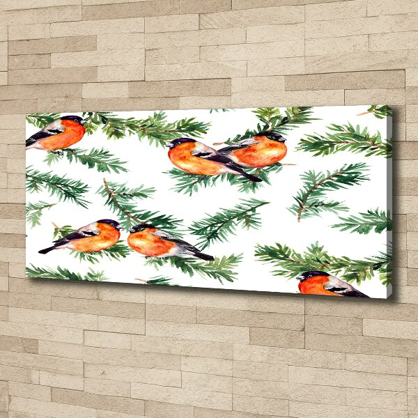 Wandbild Rotkehlchen auf einer Nadelbaum