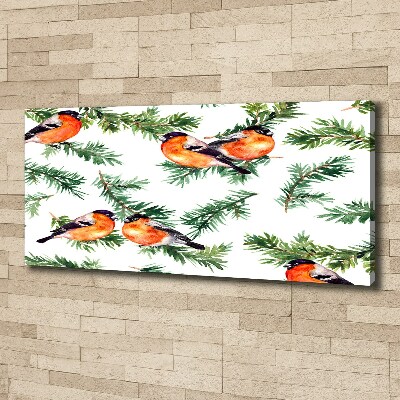 Wandbild Rotkehlchen auf einer Nadelbaum