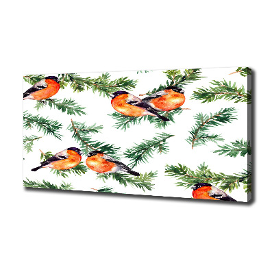 Wandbild Rotkehlchen auf einer Nadelbaum