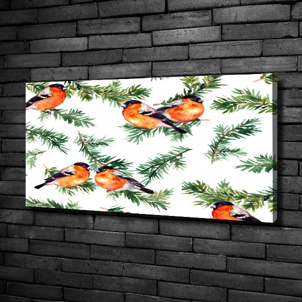 Wandbild Rotkehlchen auf einer Nadelbaum