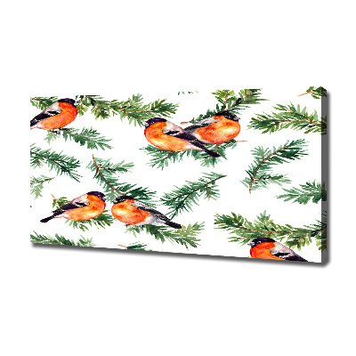 Wandbild Rotkehlchen auf einer Nadelbaum