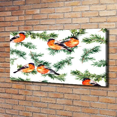 Wandbild Rotkehlchen auf einer Nadelbaum